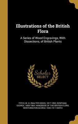Read Online Illustrations of the British Flora: A Series of Wood Engravings, with Dissections, of British Plants - Worthington George Smith file in ePub
