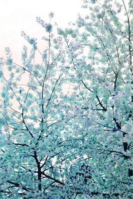 Full Download Journal: Cherry Blossoms, Blue, Stanley Park, 150 Lined Sheets (Front & Back Image Cover) -  file in ePub
