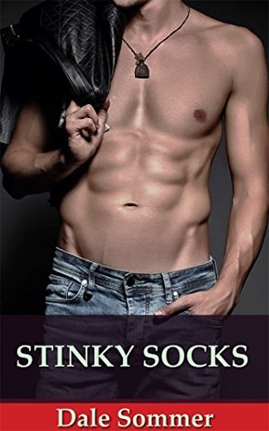 Full Download Stinky Socks: The Story of An Open-Minded Straight Guy - Dale Sommer file in PDF