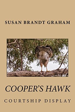 Read Online Cooper's Hawk Courtship Display (As Seen in New Mexico Book 1) - Susan Brandt Graham | ePub
