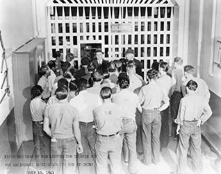 Read Online Busted: The Lighter Side of Crime and Punishment - Con Chapman | PDF