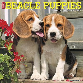 Read Just Beagle Puppies 2019 Wall Calendar (Dog Breed Calendar) -  | ePub