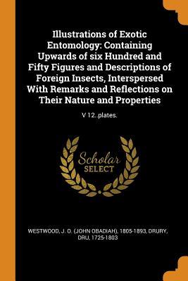 Full Download Illustrations of Exotic Entomology: Containing Upwards of Six Hundred and Fifty Figures and Descriptions of Foreign Insects, Interspersed with Remarks and Reflections on Their Nature and Properties: V 12..Plates. - John Obadiah Westwood file in ePub