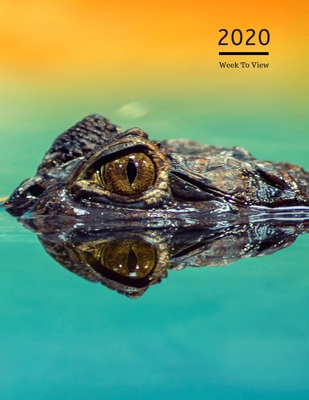 Read Online 2020 A5 Diary Week To View Planner For All Occasions: Year Planner For Business, Office, Home, University, College, School, Appointments, Organizer. - Olive Tree Prints | ePub